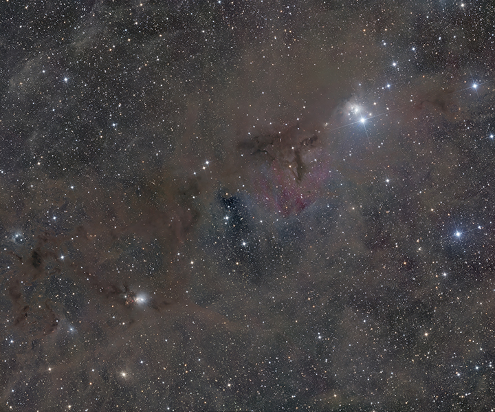 Dust Clouds in Perseus
